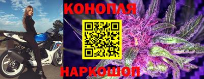не бодяженный Заводоуковск