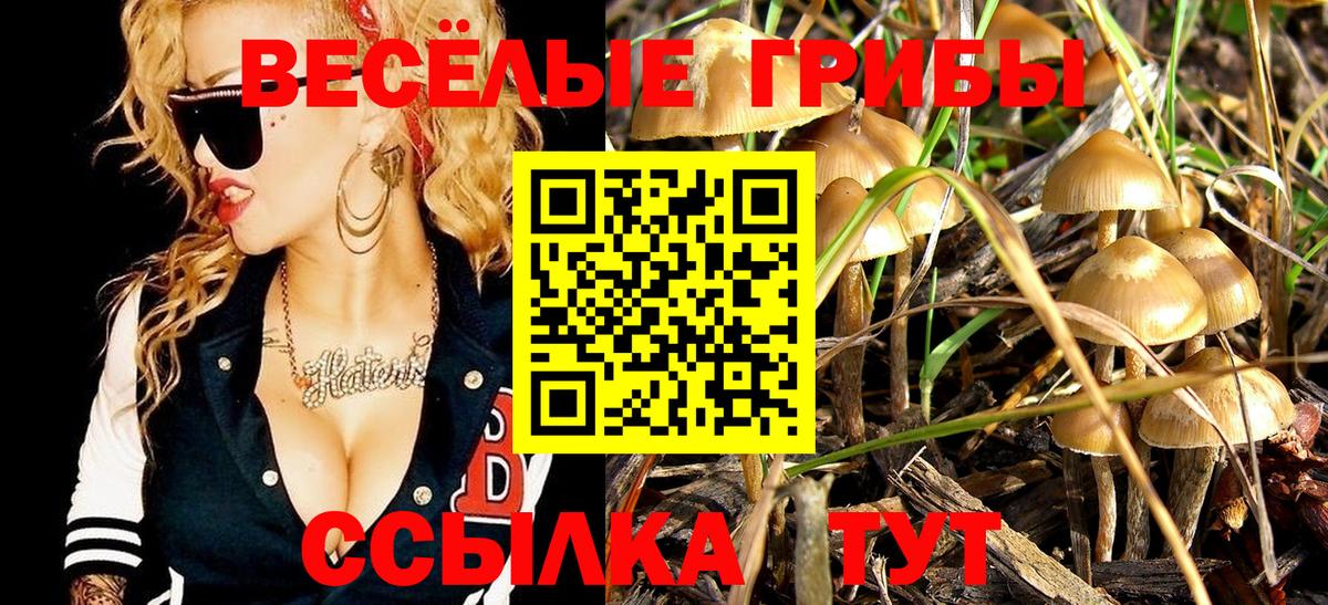Галлюциногенные грибы ЛСД  Вход с VPN  Чистополь  Псилоцибиновые грибы прущие грибы 