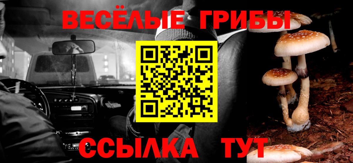 Псилоцибиновые грибы мухоморы Чистополь